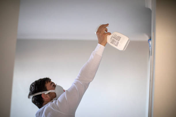 Best Commercial Mold Removal  in East Atlantic Beach, NY