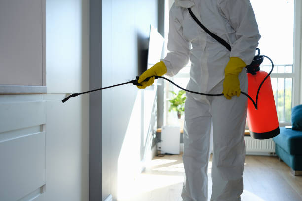 Best Toxic Mold Removal  in East Atlantic Beach, NY